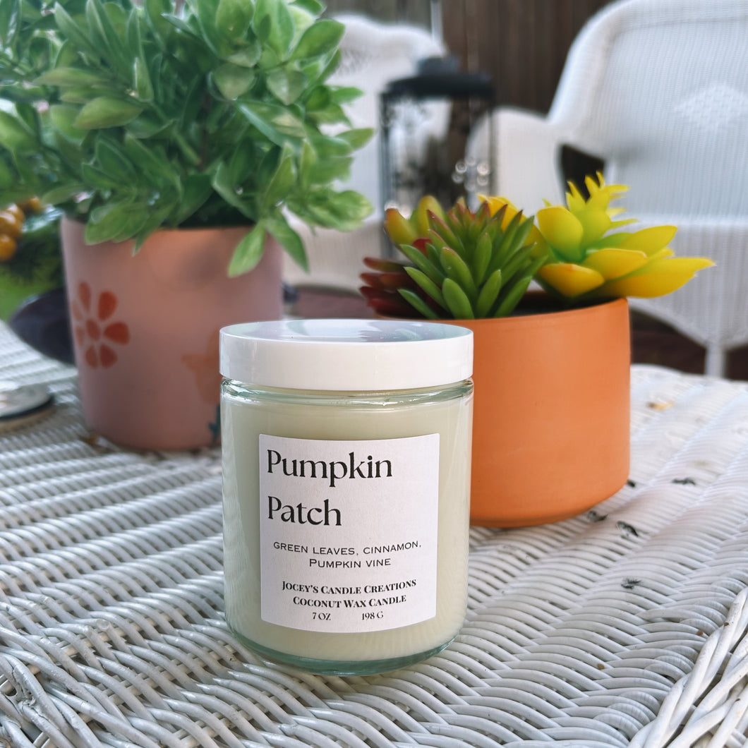 Pumpkin Patch 7 oz